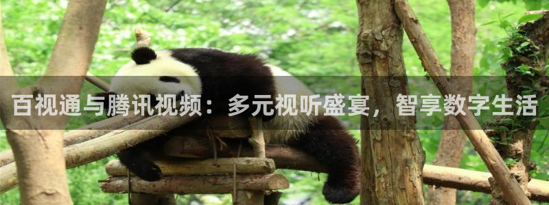五星体育频道在线直播观看回看