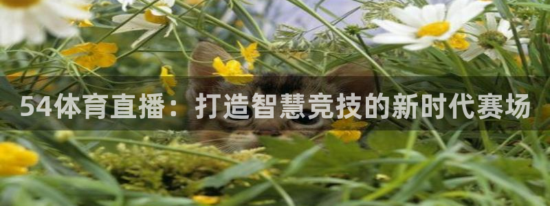 五星体育网球直播在线观看：54体育直播：打造智慧竞技的新时代赛场