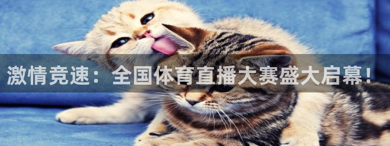 五星体育在哪直播：激情竞速：全国体育直播大赛盛大启幕！