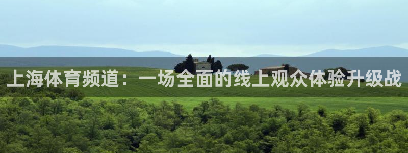 五星体育张捷：上海体育频道：一场全面的线上观众体验升级战