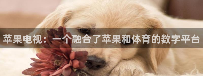 五星体育 直播观看f1：苹果电视：一个融合了苹果和体育的数字平台