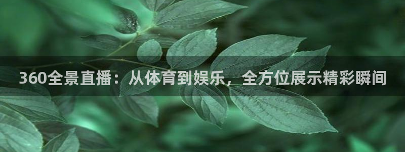 五星体育网上能看吗：360全景直播：从体育到娱乐，全方位展示精彩瞬间