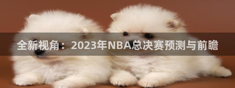 五星体育直播节目：全新视角：2023年NBA总决赛预测与前瞻