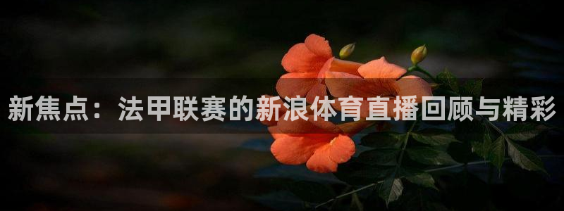 f五星体育在线直播：新焦点：法甲联赛的新浪体育直播回顾与精彩